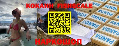 спиды Кингисепп