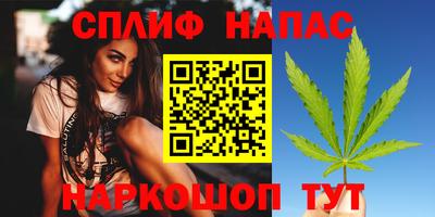 спиды Кингисепп
