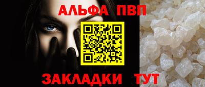 спиды Кингисепп