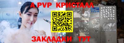 спиды Кингисепп