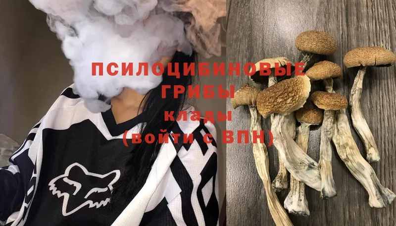 Псилоцибиновые грибы Magic Shrooms  OMG как зайти  Людиново 