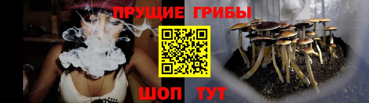 Людиново  Псилоцибиновые грибы Psilocybe  Галлюциногенные грибы ЛСД  Вход с VPN 