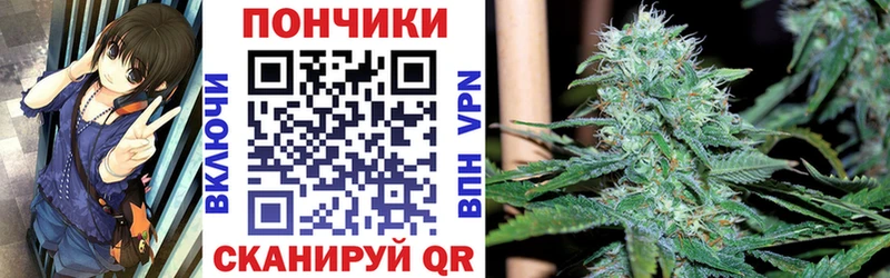 МЕГА   Людиново  Конопля Bruce Banner  что такое  